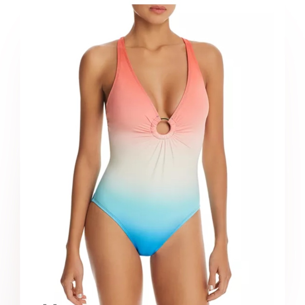 Blue by Rod Beattie Ombre Swimsuit - 12